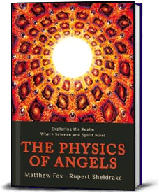 The Physics of Angels book